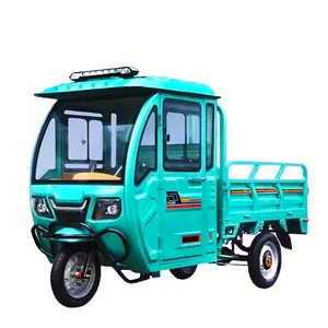 Gesloten 3-wiel Elektrische Passagier Driewieler Cargo Driewieler Motorfietsen Voor India Markt