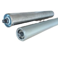 Rouleau à métaux plaqué zinc, rouleau à gravité robuste, en acier inoxydable, solide