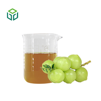 Poudre de fruit d'Emblica Officinalis (Amla) hydrosoluble pour l'alimentation, 30% de polyphénols, extrait de Phyllanthus Emblica, disponible en fût et en bouteille