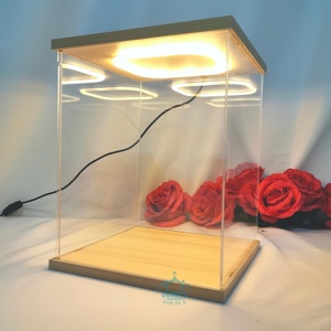 Caja de exhibición de lámpara de eco acrílica de mano para modelo Lego <span class=keywords><strong>Gundam</strong></span> con cubierta antipolvo forma rectangular plástico de varios tamaños tipo PET - Product Image 1