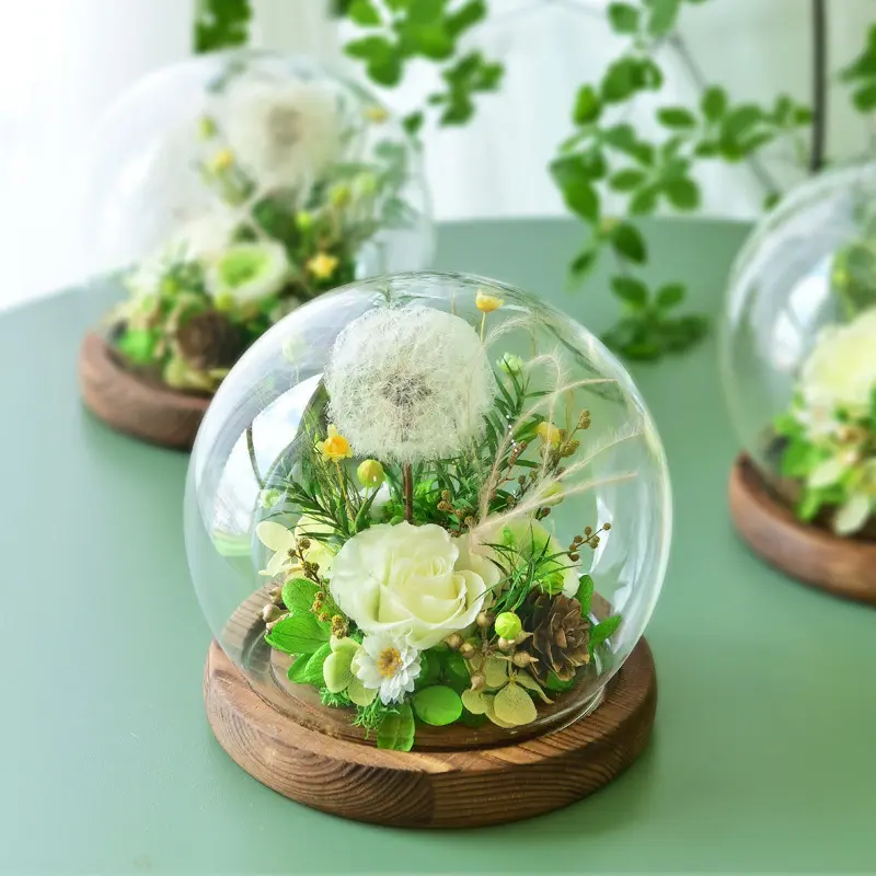 Wholesale Preserved Flower Dandelion Rose Glass Cover Gift Green Artsy Birthday Present