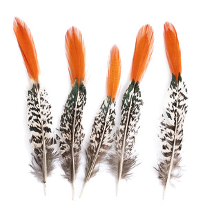 80 Plumes de faisan de couleur naturelle - Product Image 5