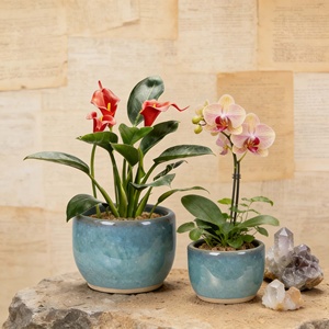 Grands pots à fleurs en céramique pour bureaux et balcons - Design moderne et écologique pour plantes grimpantes et succulentes - Direct Usine - Product Image 1