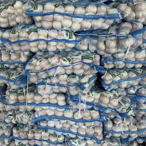 <span class=keywords><strong>Ajo</strong></span> fresco al por mayor libre de pesticidas buena calidad mejor precio Ail <span class=keywords><strong>Ajo</strong></span> Fresco Bawang Putih Popular en el mercado de Brasil - Product Image 5