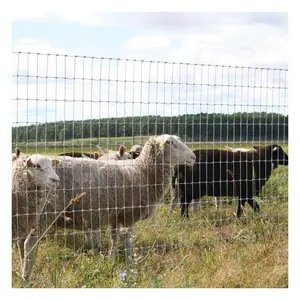Bester Preis für Ziegen-Weidenfeld-Zaun einfach zu montieren feuerverzinkter feste Knoten Gewebter Draht Farmzaun zu heißen Verkaufsbedingungen