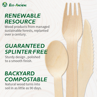Kit de couverts en bois personnalisé 160mm couteau cuillère fourchette avec boîte de présentation pour le service alimentaire et la vente au détail