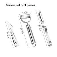 3 In 1 Roestvrijstalen Keuken Gadget Set Handleiding Multifunctionele Fruitschilder Mes Clip-On Rasp Groenteschiller