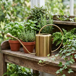 Arrosoir en métal doré antique décoratif en laiton AK pour décoration de jardin utilisation de jardin plantation extérieure - Product Image 3