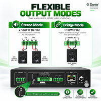 Amplificateur numérique Dante 2 canaux Mini Classe D PoE avec contrôleur Dante et télécommande RS232 pour l'audio commercial