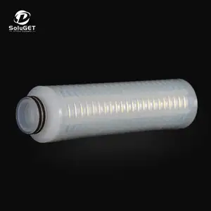 EGATP Series 0.003/0.1 Micron Rated PFA/PTFE Pleated Gas Filter Cartridge All Fluoropolymer Filter for Special Gas Filtration