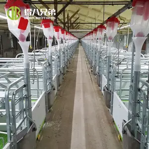 Made In China Kraamhok Voor Koop Pig Apparatuur Pig Farm