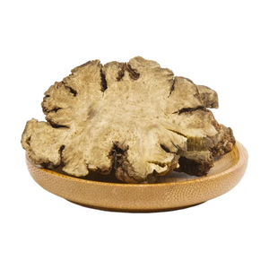 Grosir bubuk ekstrak Chuanxiong Ligusticum alami murni dalam jumlah besar Chuanxiong Polysaccharide - Product Image 2