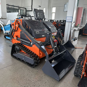 送料無料。 高出力CW-750ミニスキッドステアディーゼルローダー、スキッドステアローダーアクセサリー付き、低価格で販売中。 - Product Image 3