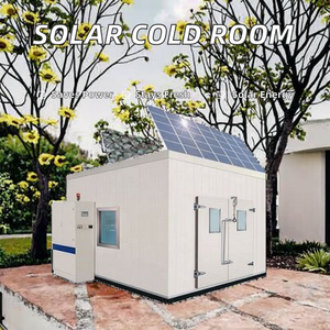 Congélateurs de stockage réfrigérés commerciaux à énergie solaire avec moteur à engrenages. Dimensions personnalisables. Utilisé pour le stockage de la viande et du poisson. - Product Image 4