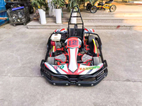 Go Karts Eléctricos Individuales para Adultos, Precio de Fábrica, Fabricante Profesional de Atracciones para Parques de Diversiones