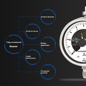 Jauge de contact série PGS23 avec boîtier en acier inoxydable pour gaz et applications variées - Product Image 2