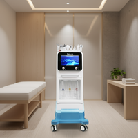 Appareil de microdermabrasion pour soins du visage, nettoyage en profondeur, éclaircissement des taches, rajeunissement de la peau, machine de soin du visage Jet Peel
