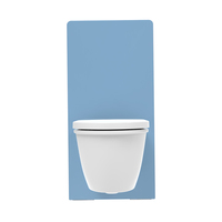 Toilette murale citerne dissimulée accessoires sanitaires salle de bain réservoir d'eau caché à double chasse