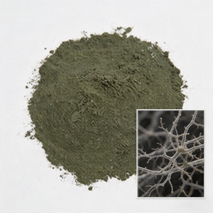Poudre de Trichoderma Spéciale pour le Contrôle Biologique des Fruits et Légumes : Solution Complète Contre les Jeunes Pousses Mortes, la Muceur Racinaire et les Nématodes - Product Image 1