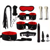 Ensemble d'accessoires de bondage, kit BDSM avec menottes, fouet, bâillon, plug anal