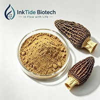 Bulk Extract van Zwarte Morelzwammen (Morchella Esculenta)