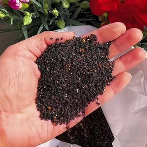 ต้นคาร์เนชั่นสำหรับตกแต่งสวน ต้นไม้แข็งแรง ทนทาน ง่ายต่อการปลูกในกระถาง เหมาะสำหรับสวนในบ้าน - Product Image 2