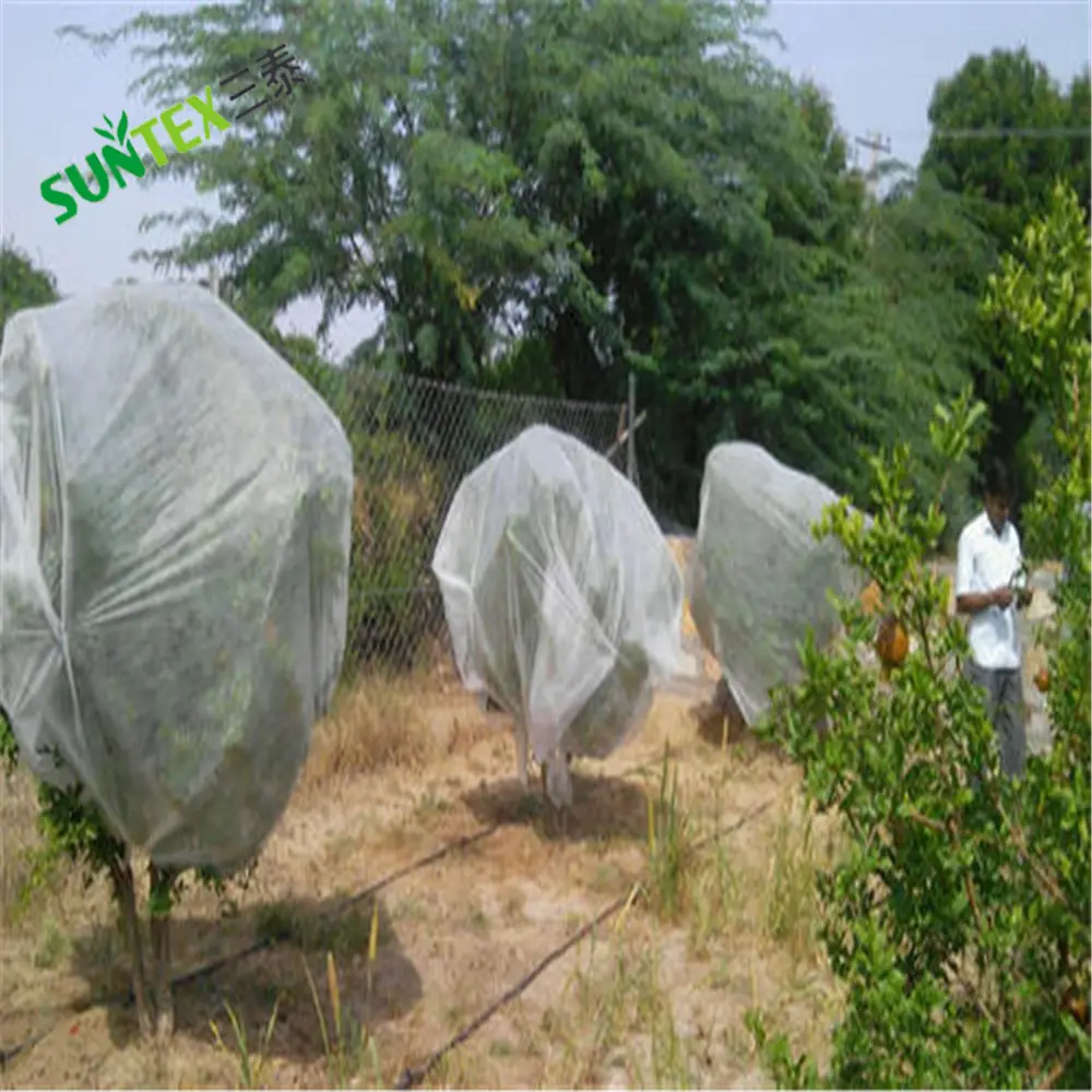 Fruit Protection Bags, Polythene Plant Fruit Protection Bags Reusable Mesh netting