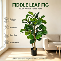 Fournisseur de plantes artificielles de haute qualité, plantes artificielles en plastique, plantes artificielles en forme de violon, verdure artificielle pour la décoration de la maison et du jardin