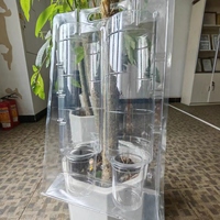 Emballage à clapet blister d'expédition de plantes personnalisé emballage jetable transparent en pvc pour animaux de compagnie boîte à clapet