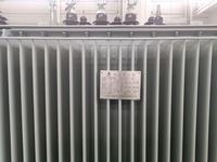 Transformador de Distribución de Energía Trifásico de 100 kVA, 10 kV/0.4 kV, Montado en Poste, Sumergido en Aceite, con Bobinado de Cobre, 50/60 Hz, para Poste de Alimentación