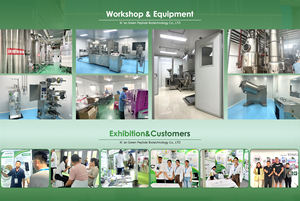 Marque privée OEM ODM Compléments alimentaires Supplément naturel pour le sommeil et le cerveau Capsules de L-thréonate de magnésium - Product Image 6