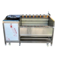 Hot-Selling Automatische Borstelwasmachine Voor Gember, Yam, Pinda-Groente-En Fruitreiniger Met Hoge Capaciteit Met Een Goede Prijs