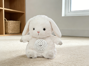 Giocattoli Intelligenti AI Personalizzati per Bambini, Giocattolo Educativo Interattivo con Batteria al Litio, Giocattolo di Apprendimento in Plastica con Controllo Vocale - Product Image 6