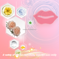 Masker bibir hidrogel mawar kustom pabrik masker bibir perawatan kecantikan & kulit pribadi Korea warna-warni sangat menenangkan pelembab