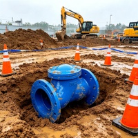 Vannes anti-retour à bille sphéroïdale en fonte HQ41X - Vanne sphérique pour eaux usées - Vanne unidirectionnelle anti-reflux à bille roulante pour pipeline