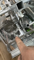 Tout nouveau mini transplanteur de riz manuel semoirs transplaneurs