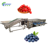 Shepody hogesnelheidsautomatische fruit- en groentesorteermachine, automatische sorteermachine voor mango's, appels, citroenen en groenten op maat.