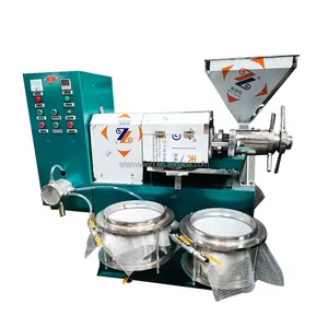 Factory price automatic small cooking oil press rice bran cottonseed soybean sunflower mustard oil press machine