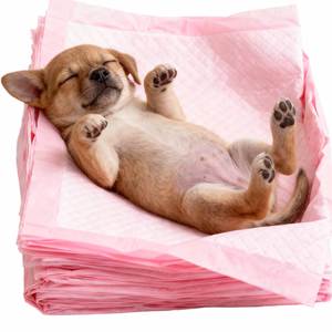 Tapis d'apprentissage de propreté jetable pour animaux de compagnie, super absorbant, anti-odeur, désodorisant, imperméable, drap de lit pour animaux, tapis absorbant d'urine pour animaux - Product Image 1