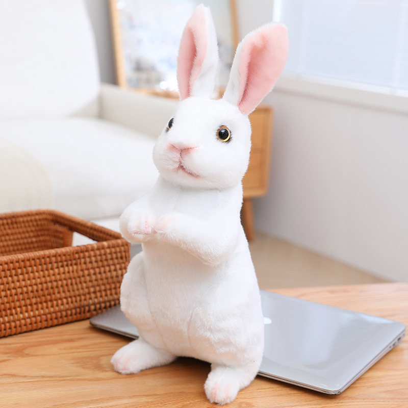 Conejo blanco sentado
