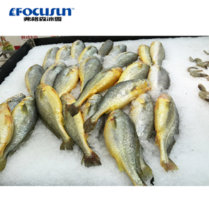 Máquina de hielo en escamas de 20 toneladas | Máquina industrial de hielo en escamas para enfriar mariscos y concreto - Product Image 4