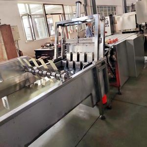 Machine de lavage, pelage, dénoyautage et découpe de fruits, ligne de traitement des pommes (pelage, dénoyautage, découpe) - Product Image 6