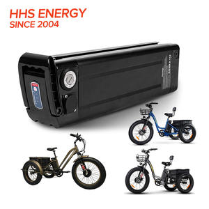 Paket Baterai Sepeda Roda Tiga Elektrik, Paket Baterai Sepeda Roda Tiga Elektrik 48V 10ah 20ah 30ah - Product Image 2