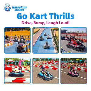RaiseFun 맞춤형 고카트 어린이 및 성인용 전기 고품질 매력적인 현대적 스타일 실내외 스포츠 엔터테인먼트용 - Product Image 4