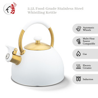 Bouilloire siffleuse en acier inoxydable de 2,5 litres, sûre, saine et non toxique, personnalisable avec logo, directement de l'usine