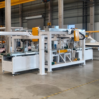 Machine de séparation de panneaux photovoltaïques à isolation par vibration au nitrogène liquide, préférée des clients, avec encapsulation EVA et dépolymerisation thermique
