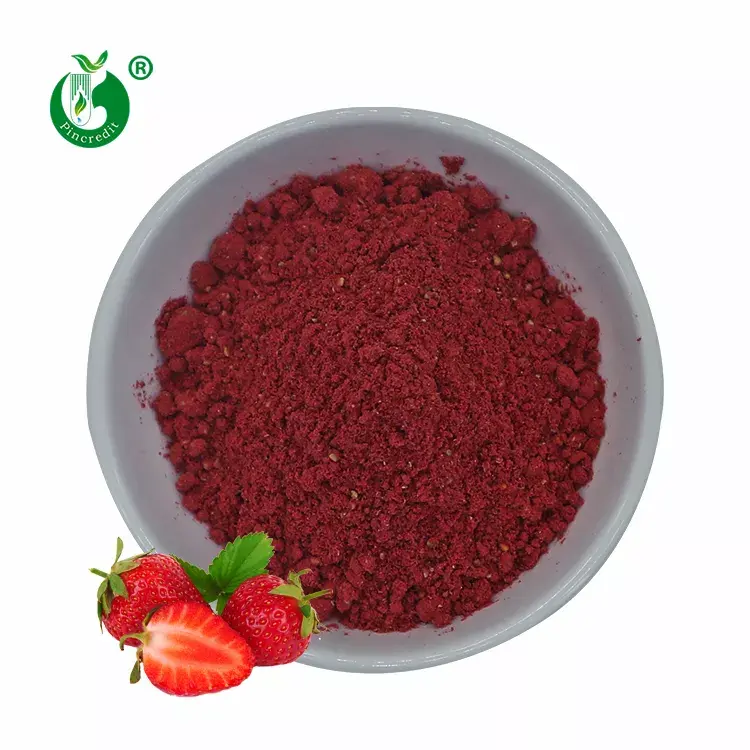 Pincredit Fabricant Prix en vrac Poudre de fraise lyophilisée