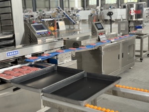 Machine automatique de panure pour viande, saucisses, poisson, poulet, hamburgers, nuggets, et tartes à la citrouille, moteur en acier inoxydable SUS 304, 2100 pièces/heure - Product Image 2