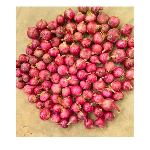 5-8cm Deliciosa cebolla roja fresca Cebolla de alta calidad Precio de fábrica 10kg Bolsa de malla Exportador Cebolla roja - Product Image 5