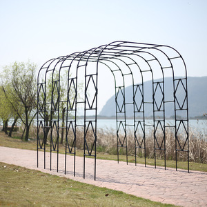 Arche de jardin en fer pour plantes grimpantes, support de plante d'extérieur durable, structure creuse - Product Image 3